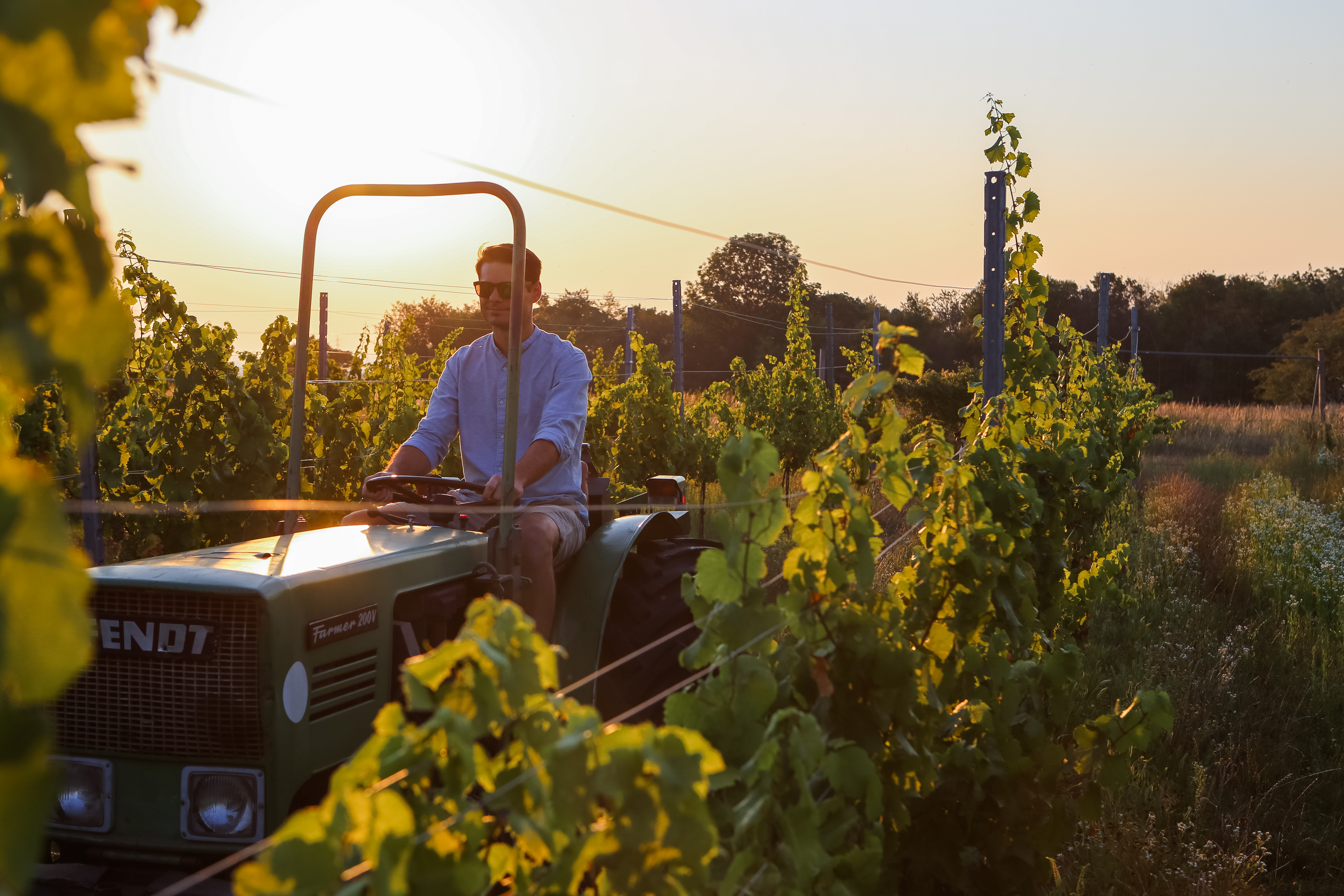 Bio-Weingut Fuchs-Steinklammer